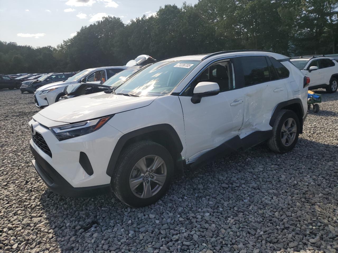 TOYOTA RAV4 XLE