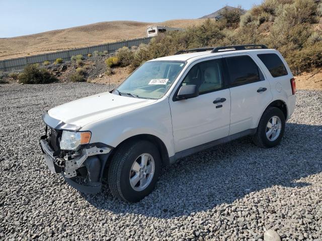 2010 FORD ESCAPE XLT - 1FMCU9D73AKC72556