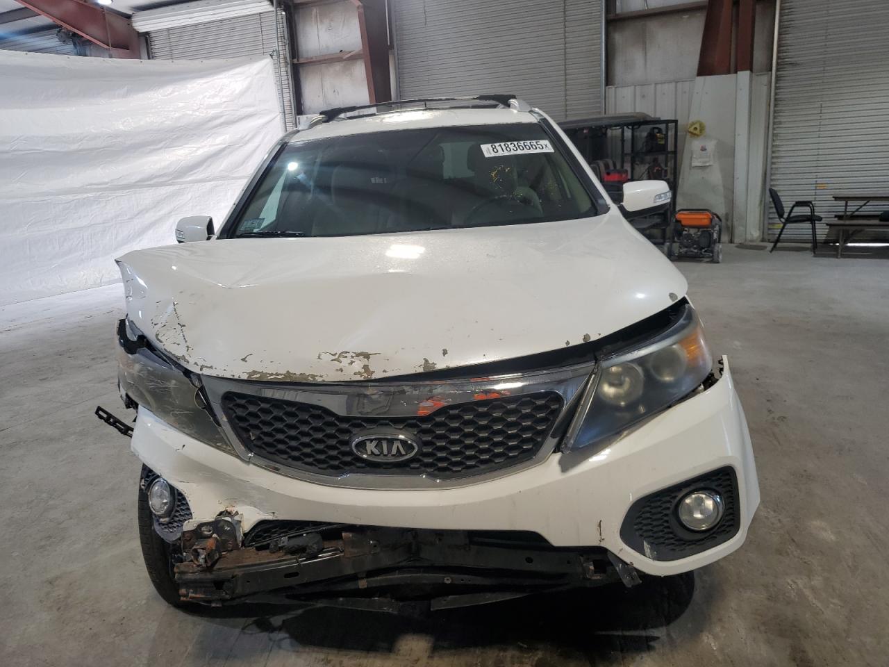 Global Auto Auctions