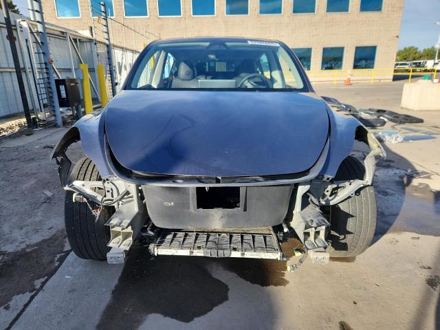 2023 TESLA MODEL Y #3291765233