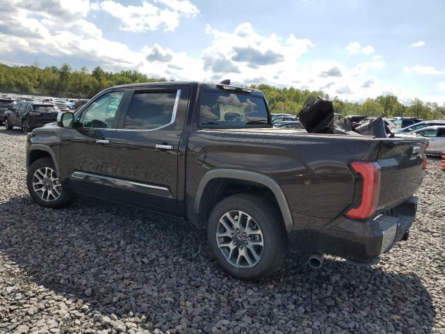 2025 TOYOTA TUNDRA CREWMAX PLATINUM 5TFMA5DB5SX271783