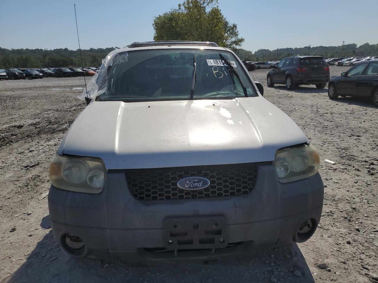 Lot #3286762281 2006 FORD ESCAPE XLT