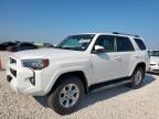 Lot #3309480577 2024 TOYOTA 4RUNNER SR