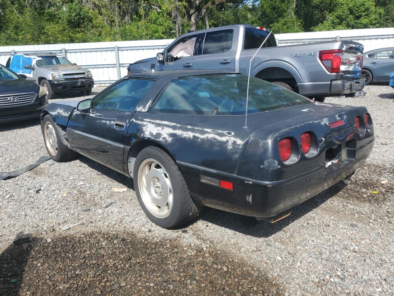 Lot #3255386437 1995 CHEVROLET CORVETTE