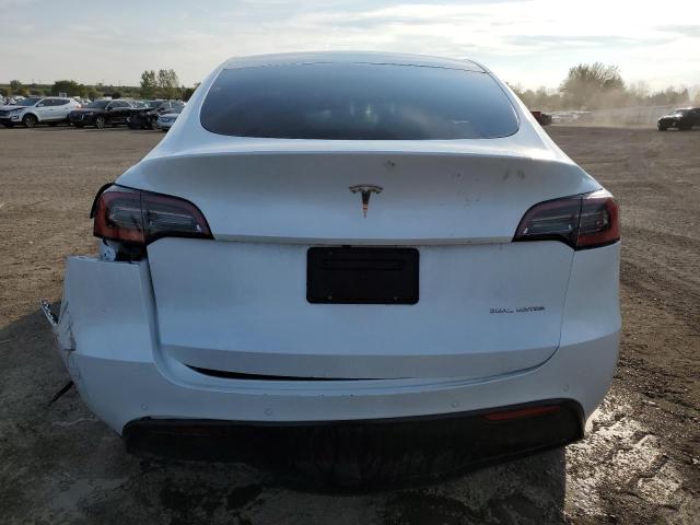 2021 TESLA MODEL Y 5YJYGDEE5MF067517