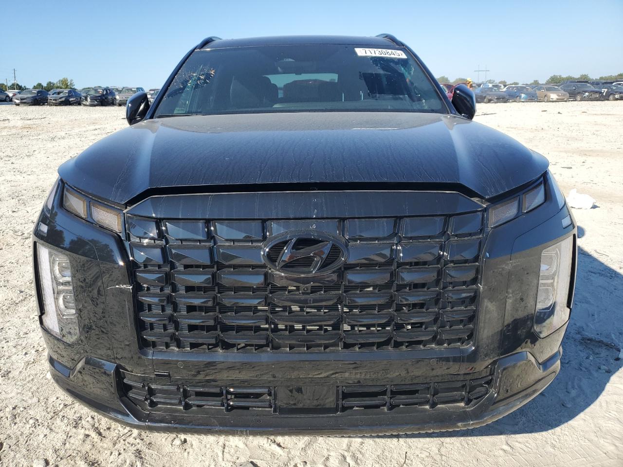 HYUNDAI PALISADE CALLIGRAPHY