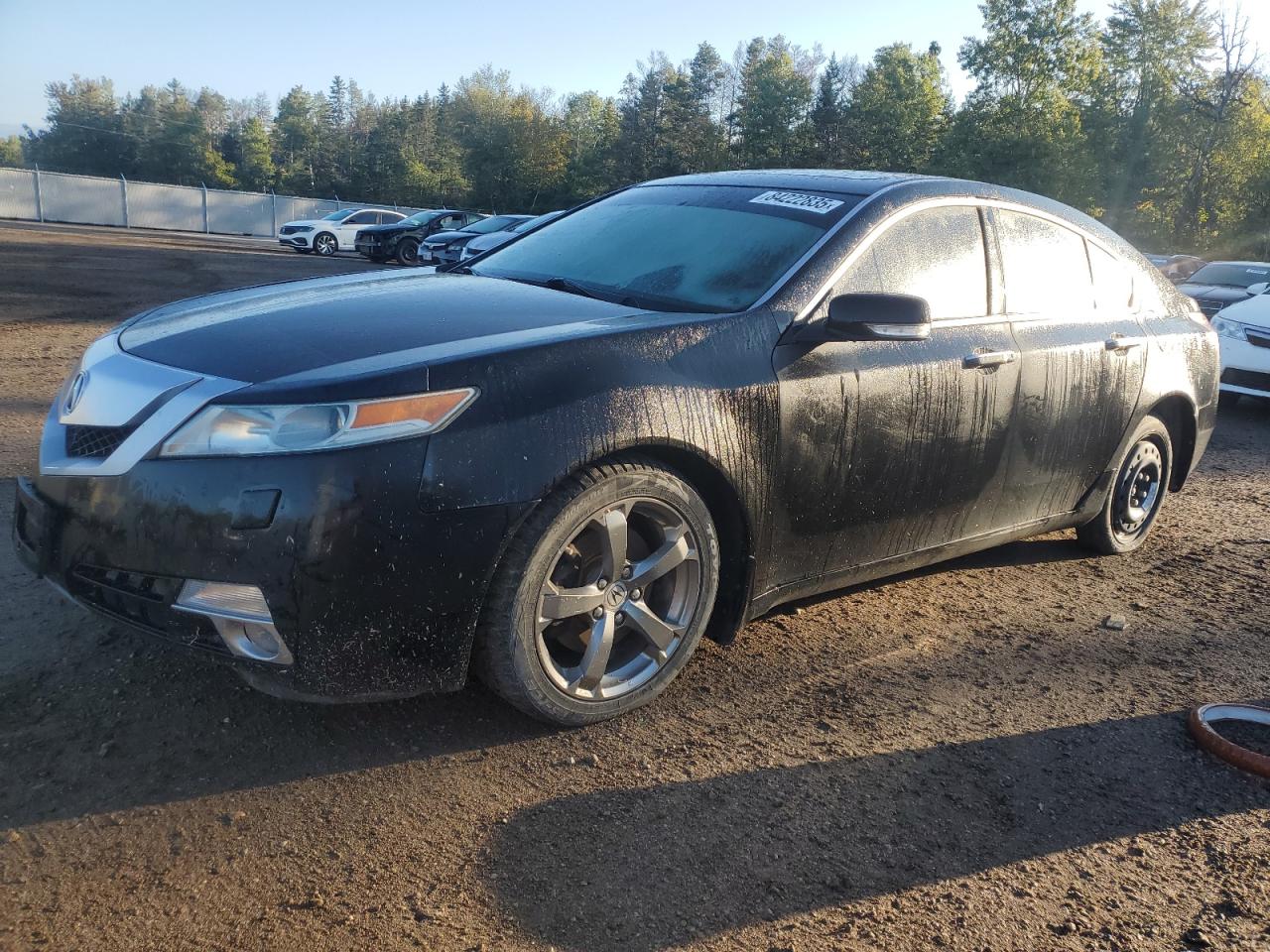 ACURA TL