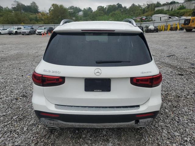 2021 MERCEDES-BENZ GLB 250 4M #3292381266