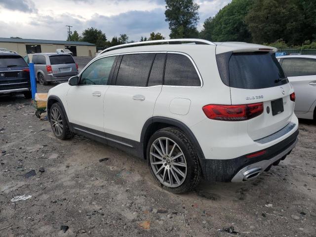 2021 MERCEDES-BENZ GLB 250 W1N4M4GB3MW111481