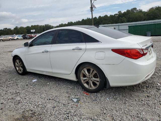 2013 HYUNDAI SONATA SE - 5NPEC4AC5DH541020