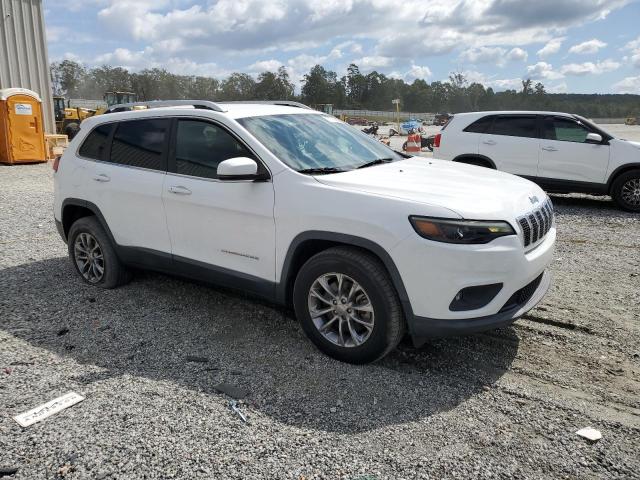 2019 JEEP CHEROKEE L 1C4PJLLN9KD119696