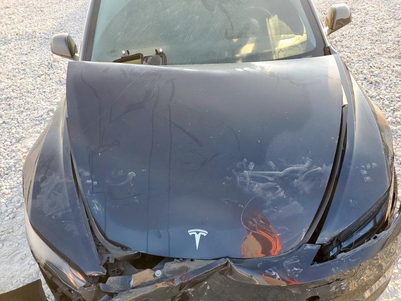 2025 TESLA MODEL 3 - 5YJ3E1EA0SF962390