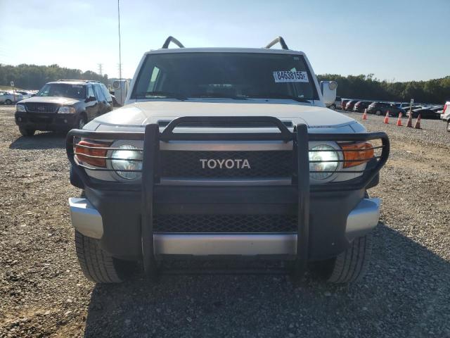 2010 TOYOTA FJ CRUISER - JTEBU4BF9AK093723