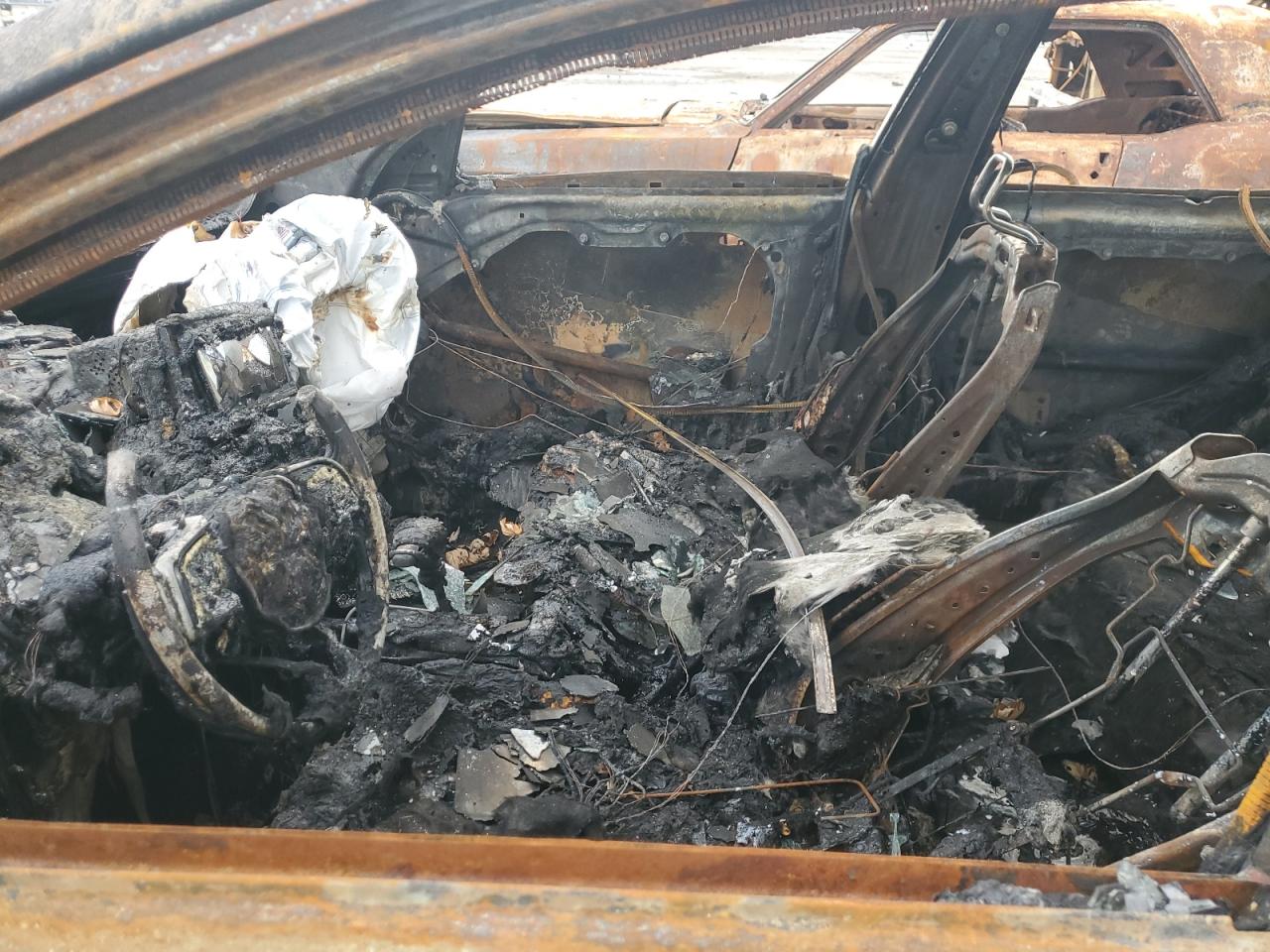 Global Auto Auctions