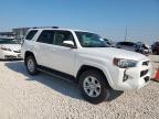 Lot #3309480577 2024 TOYOTA 4RUNNER SR
