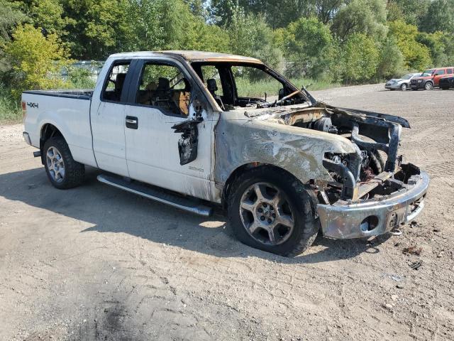 2012 FORD F150 SUPER CAB - 1FTFX1ET8CFA39659