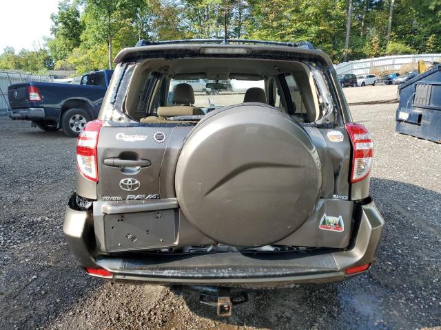 2010 TOYOTA RAV4 - 2T3BF4DV2AW031199