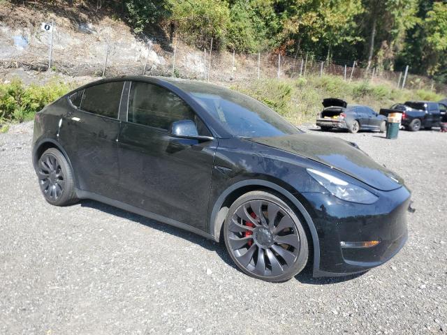 2022 TESLA MODEL Y - 7SAYGDEF0NF443344