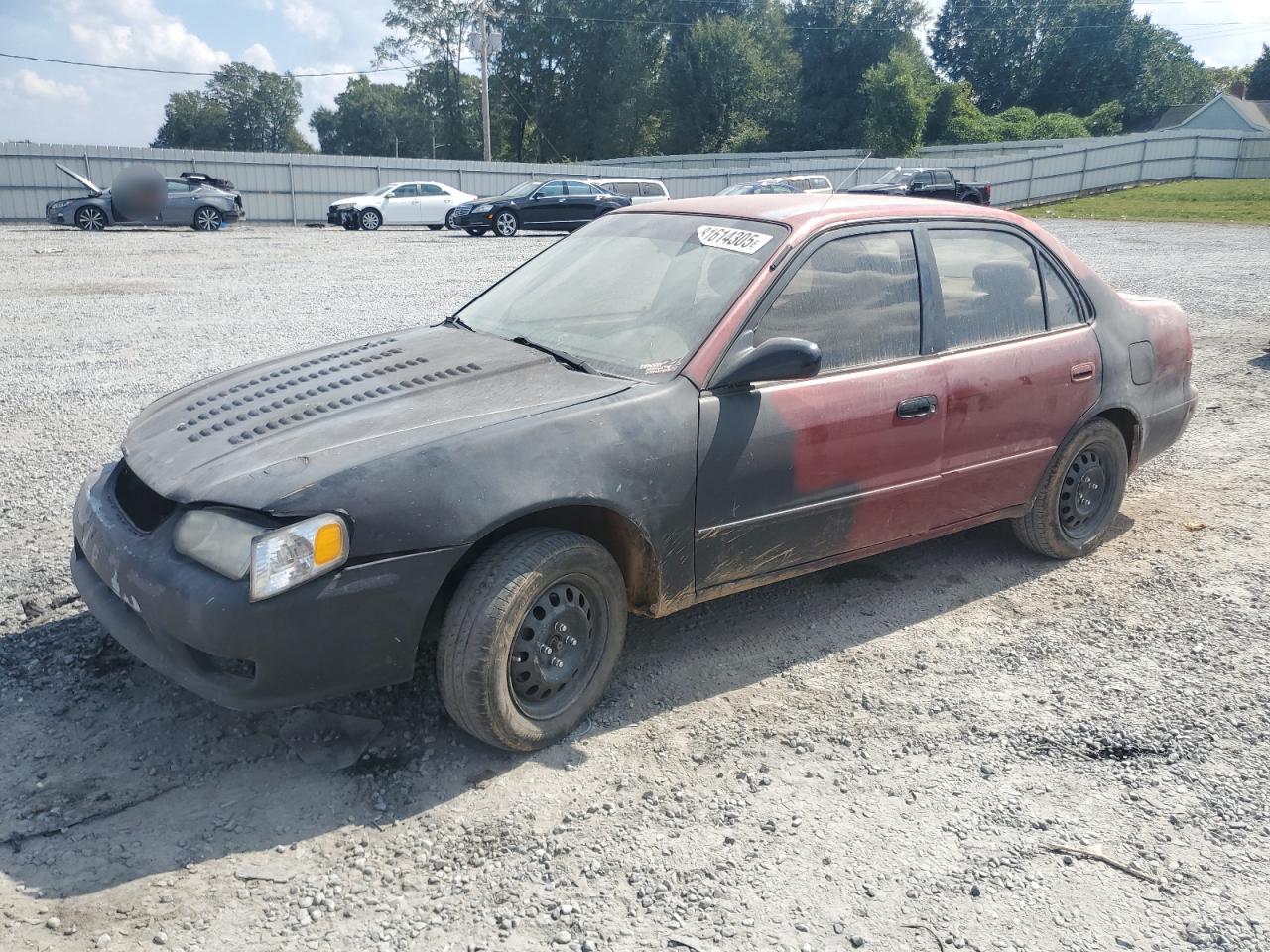 Lot #3290316934 1999 TOYOTA COROLLA VE