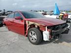 Lot #3296989829 2024 HYUNDAI ELANTRA SE