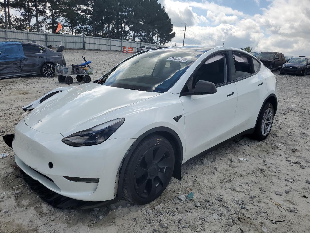 TESLA MODEL Y