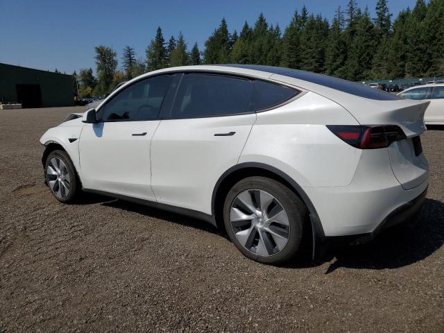 2023 TESLA MODEL Y 7SAYGDEE3PF811994