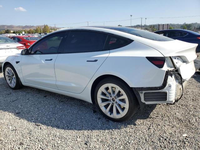 2023 TESLA 3 - 5YJ3E1EA4PF567555