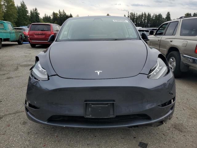 2022 TESLA MODEL Y #3290214230