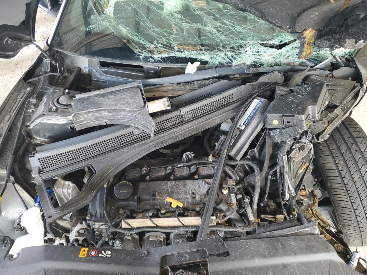 HYUNDAI VELOSTER BASE