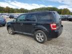 Lot #3296977833 2012 FORD ESCAPE XLT