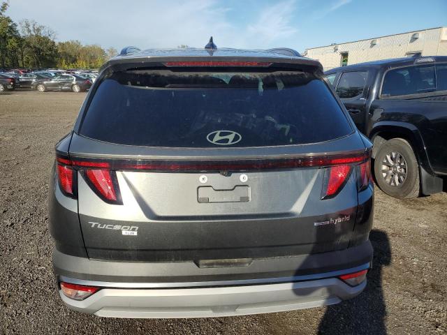 2025 HYUNDAI TUCSON BLUE KM8JBDD1XSU268697