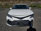 Lot #3308373278 2023 TOYOTA CAMRY LE