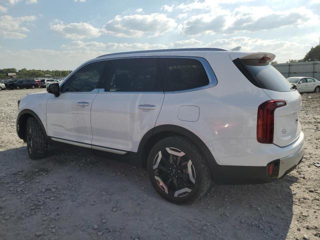 2024 KIA TELLURIDE - 5XYP6DGCXRG546252