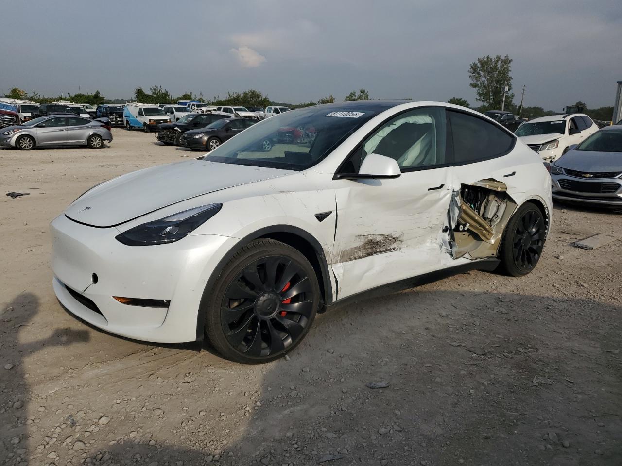 TESLA MODEL Y