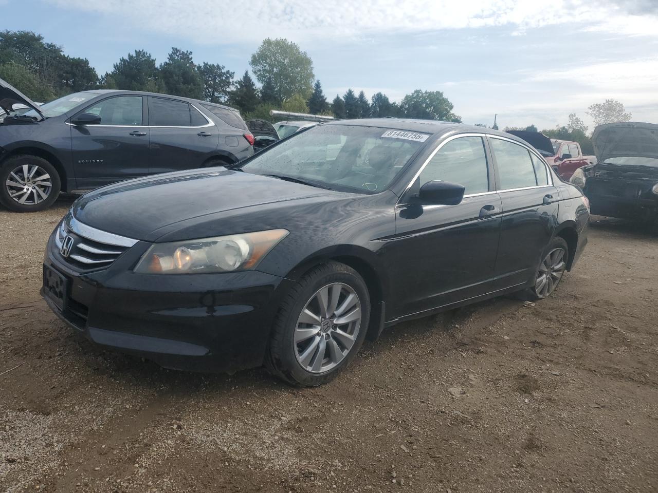 HONDA ACCORD EXL