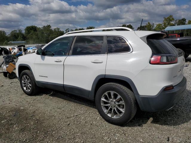 2019 JEEP CHEROKEE L 1C4PJLLN9KD119696