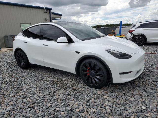 2023 TESLA MODEL Y - 7SAYGDEF1PF766191