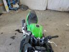Lot #3296296442 2025 KAWASAKI EX500 H