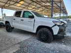Lot #3294513542 2025 CHEVROLET COLORADO