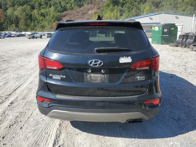 2017 HYUNDAI SANTA FE S 5NMZUDLB1HH007423