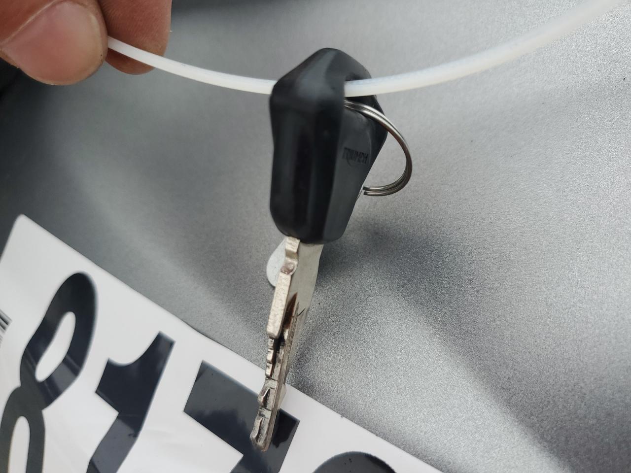 Lot #3292354276 2020 TRIUMPH MOTORCYCLE STREET TRI