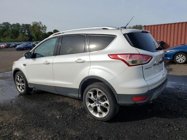 2014 FORD ESCAPE TIT - 1FMCU9J92EUA49604