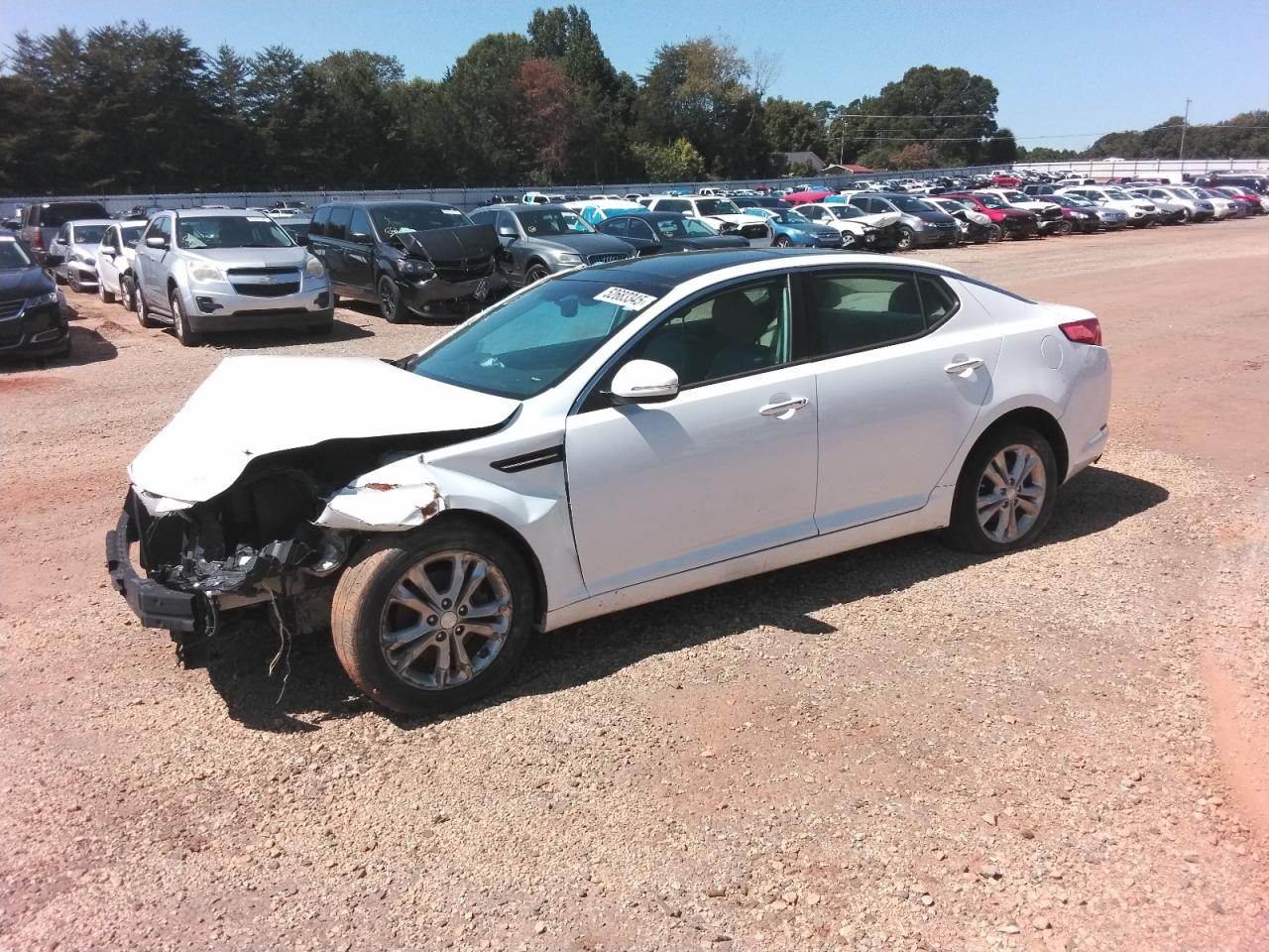 Global Auto Auctions