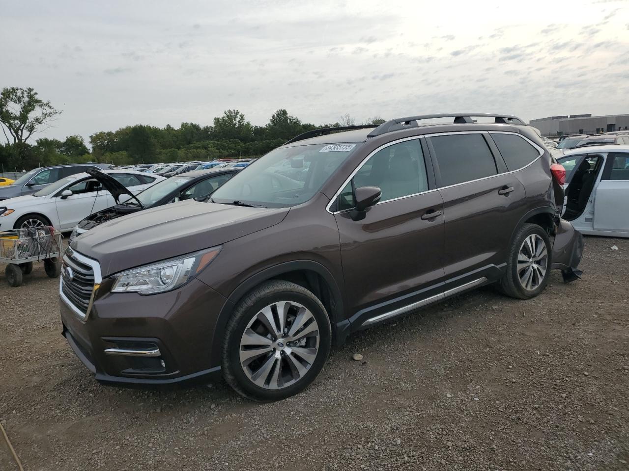 SUBARU ASCENT LIMITED