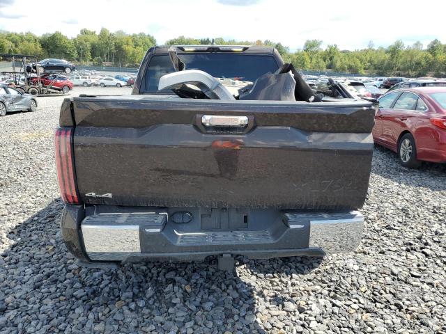 2025 TOYOTA TUNDRA CREWMAX PLATINUM 5TFMA5DB5SX271783