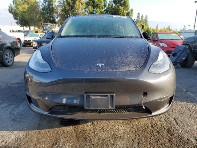 2024 TESLA MODEL Y 7SAYGDED2RF103181