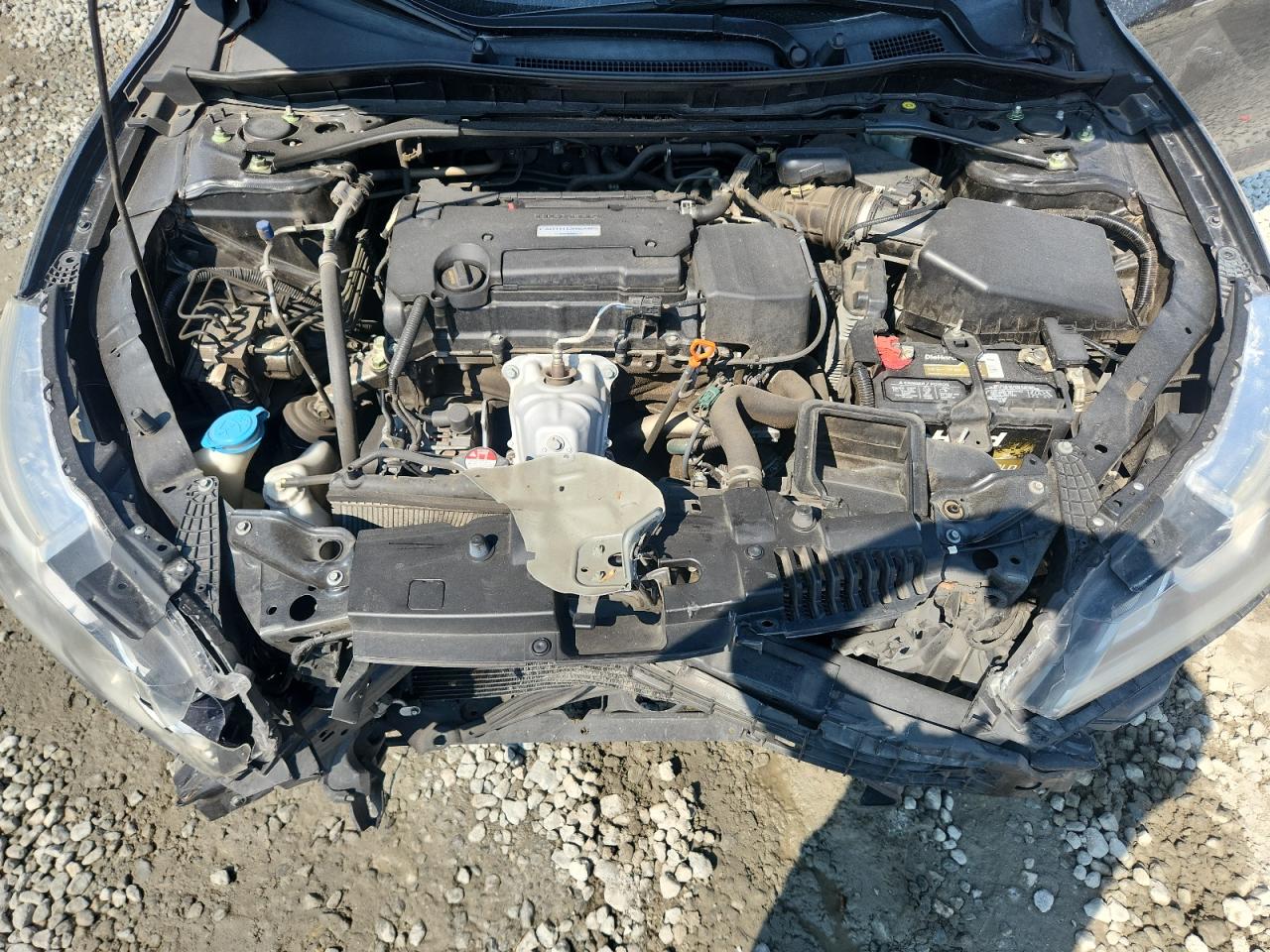 HONDA ACCORD SPORT SPECIAL EDITION