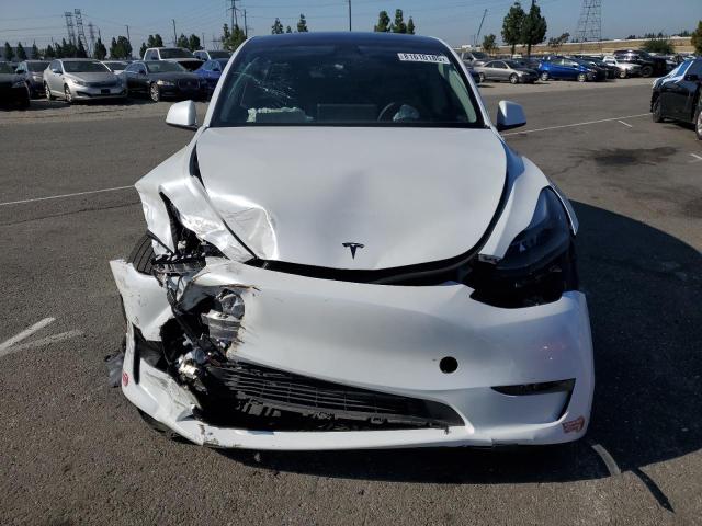 2024 TESLA MODEL Y #3284164574