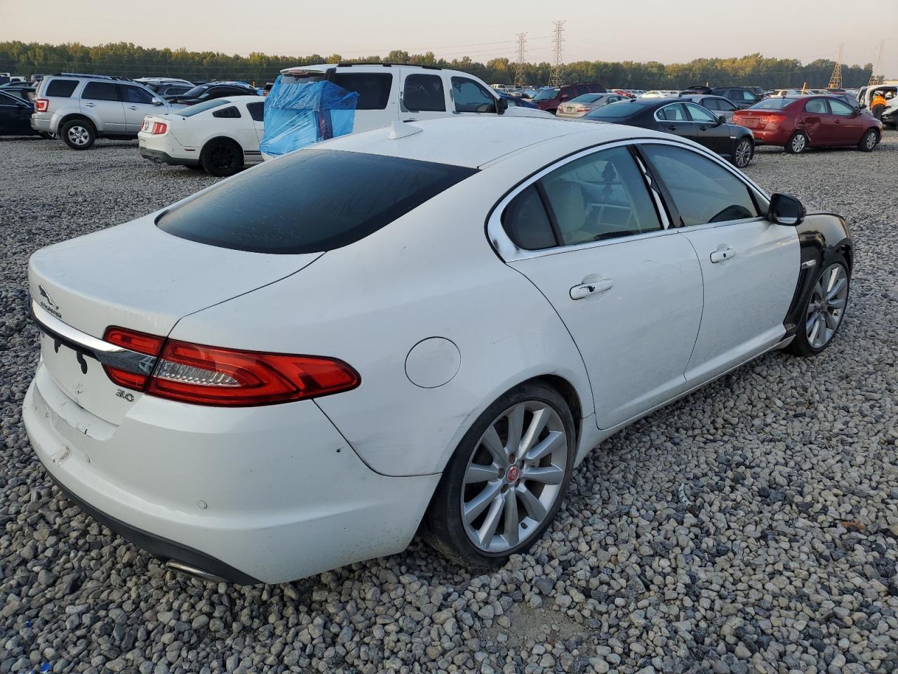 JAGUAR XF