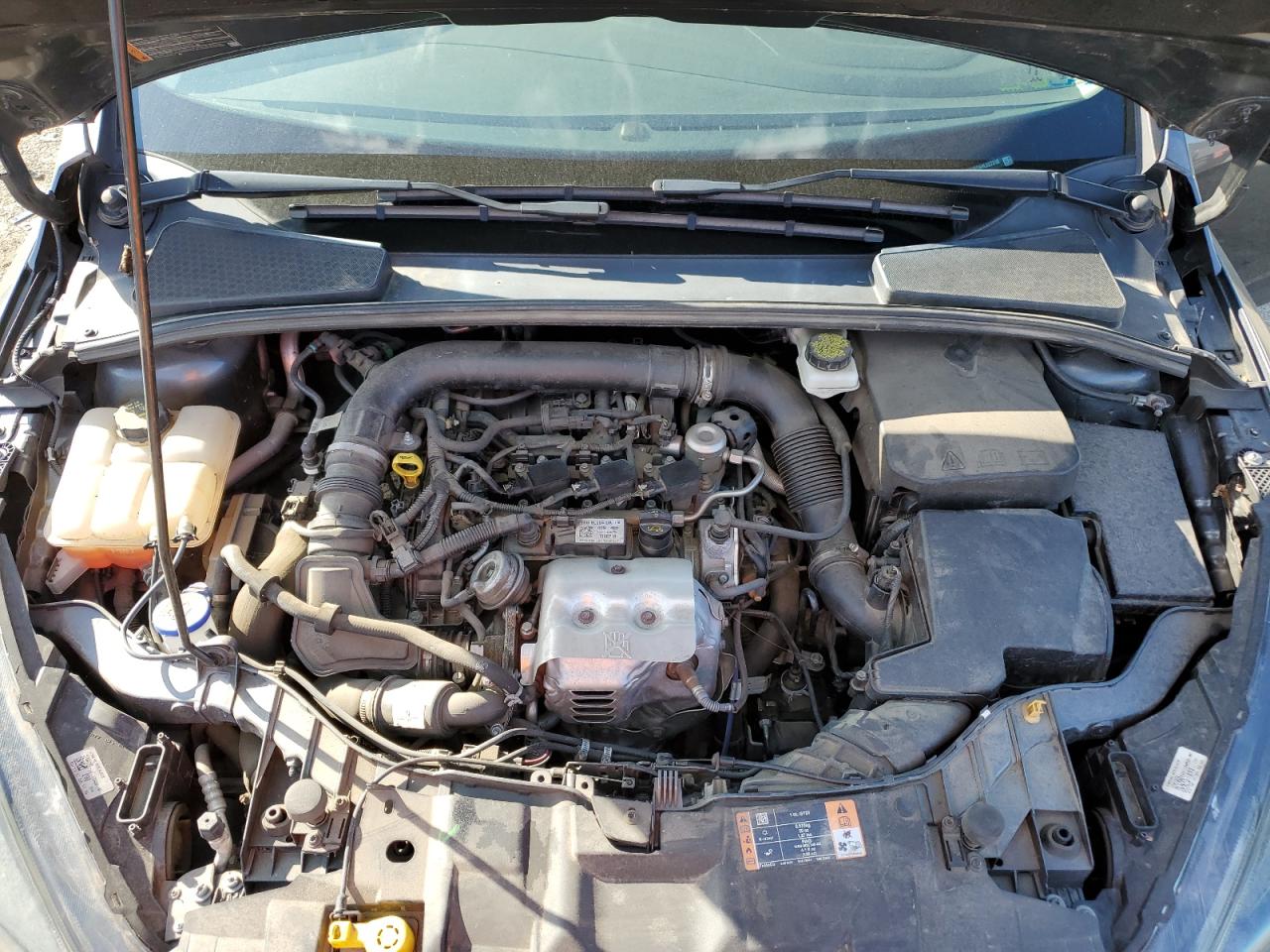 Lot #3305267335 2017 FORD FOCUS SE